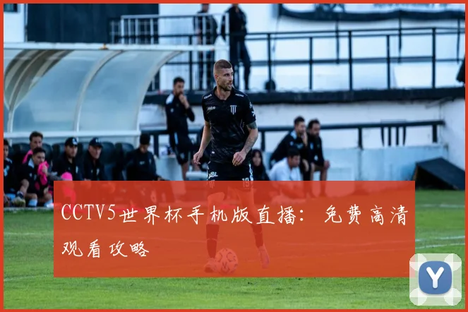CCTV5世界杯手机版直播：免费高清观看攻略